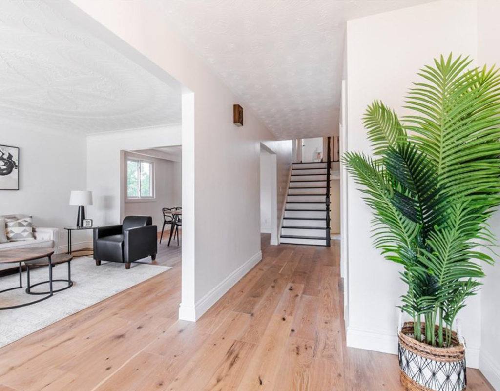 a green house plant in the entry of a house